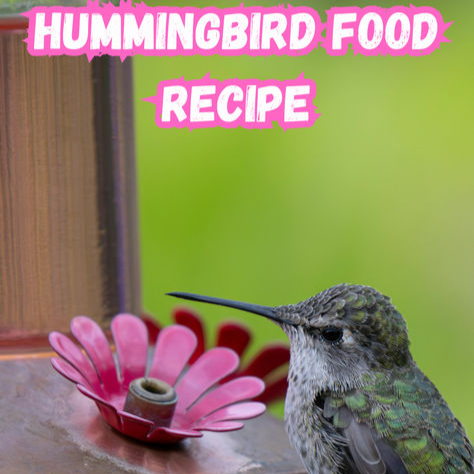 What Ingredients Are in Hummingbird Food?