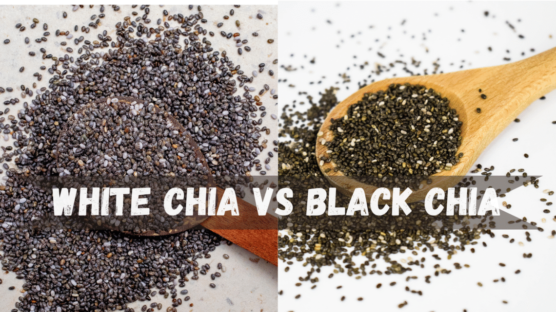 Differences b/w White Chia vs Black Chia Seeds