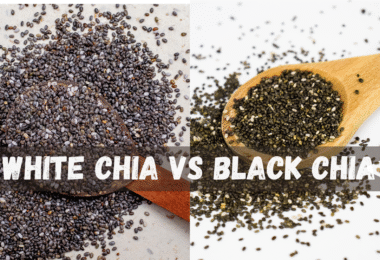 Differences b/w White Chia vs Black Chia Seeds